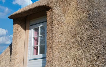 Brickhouses thatch roof disadvantages